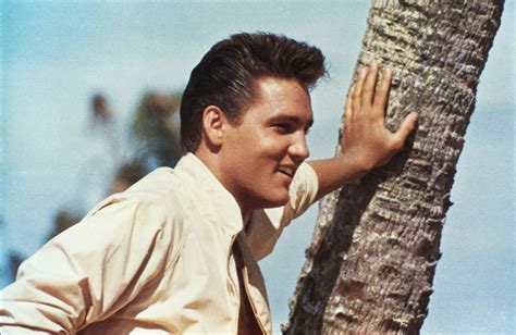 1962 elvis presley movie|elvis movie follow that dream.